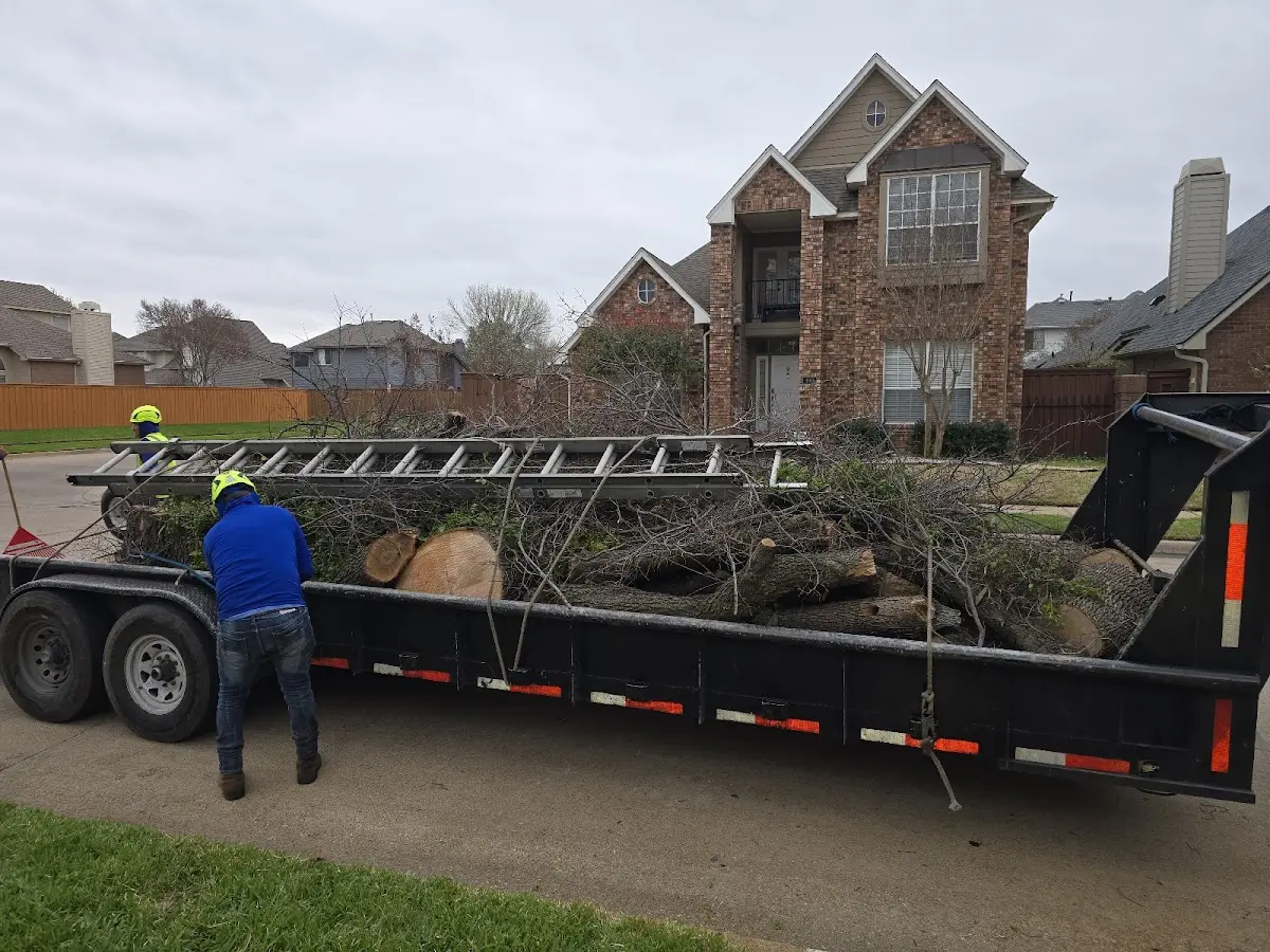 Expert Tree Fertilization with proper safety equipment in Upper Fairmount